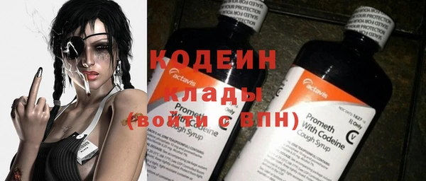 гидра Кущёвская